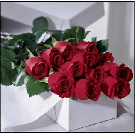 One-dozen-roses-boxed
