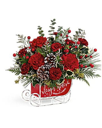 Christmas-sleigh