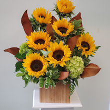 Hello-sunshine