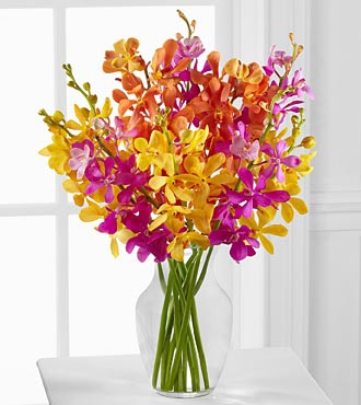 Mokara-orchids