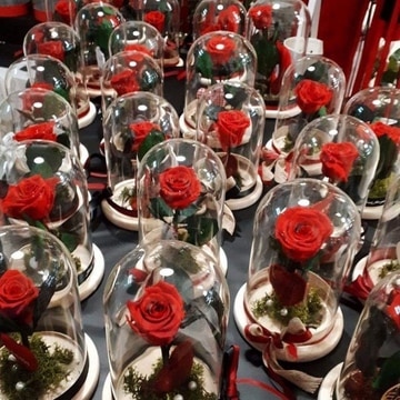 Forever-roses