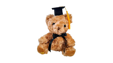 Graduation teddy bear