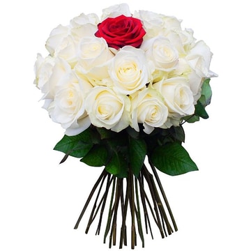 24-white-1-red-roses