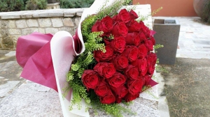 Roses-roses-roses
