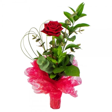 Single-red-rose