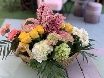 Spring-mayorca