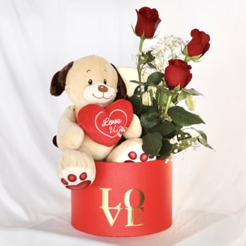 Box-love-with-teddy