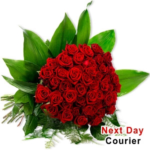 Love-love-50-roses
