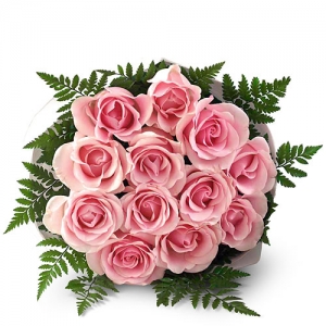 Pink-roses