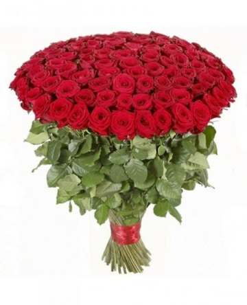 Hundreds-roses
