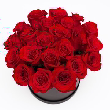 Velvet rose hatbox