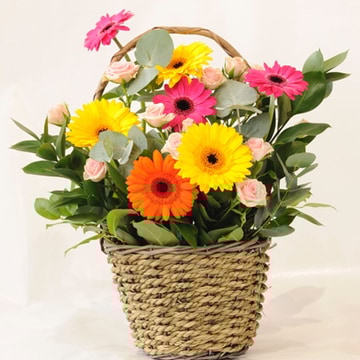 Candy pop basket