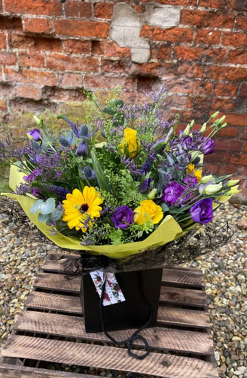 Aqua purple-yellow