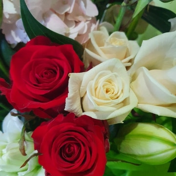 Valentines day flowers