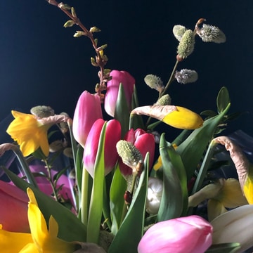 Mothers day special