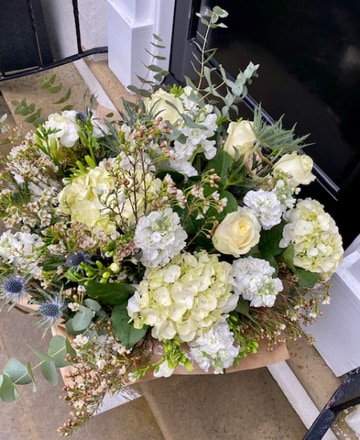Simply hydrangeas
