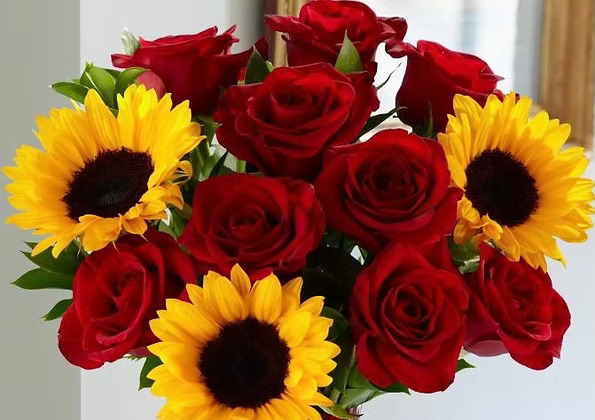 Sunflowers-red roses
