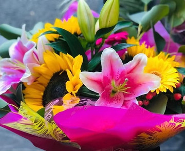 Sunflowers and stargazer