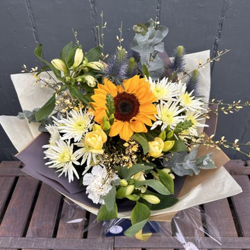 Sunshine-scottish thist