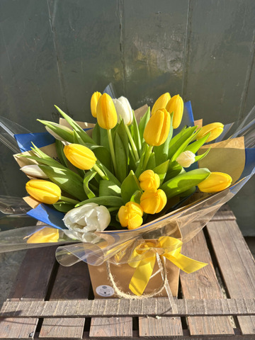 Golden spring tulips