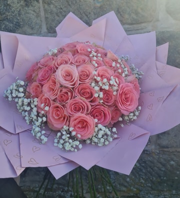 50 pink roses