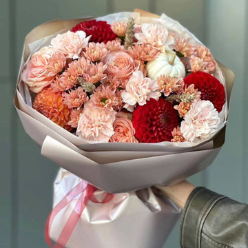 Autumn dahlia blush