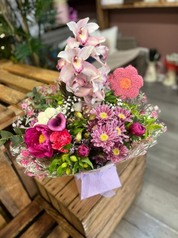 Pink orchid delight