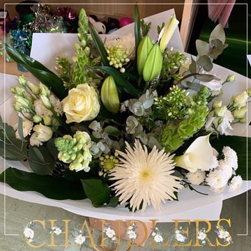 Crisp white handtied in water