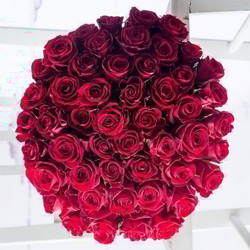 A huge lot of love