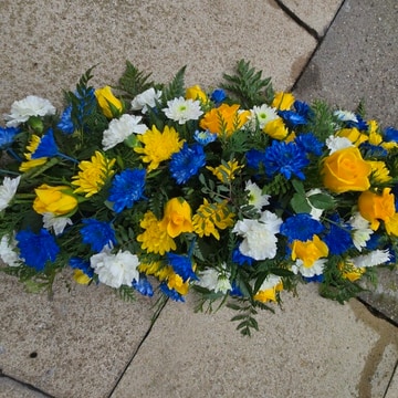 Blue yellow coffin top