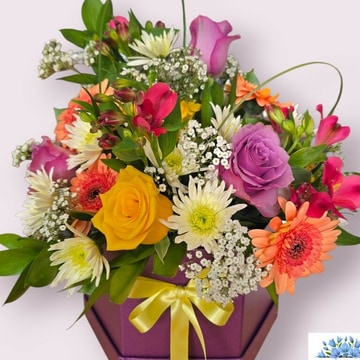Hatbox