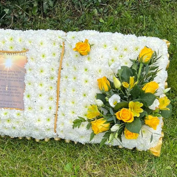 Sunshine book pillow