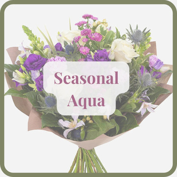 Seasonal aqua