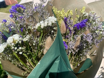 Dried summer bloom bunch