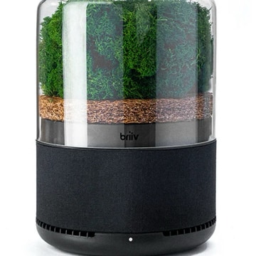 Briiv air filter