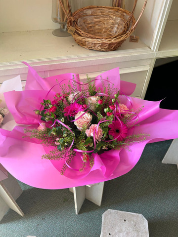 Fuchsia flair
