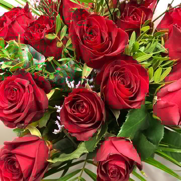 12 red rose hand tied