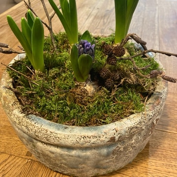 Seasonal planter in stone pot