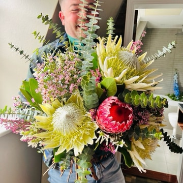 King protea
