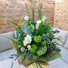 Sympathy box