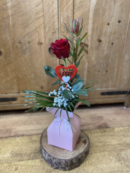Single red rose