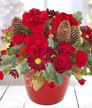 Pot of xmas flowers