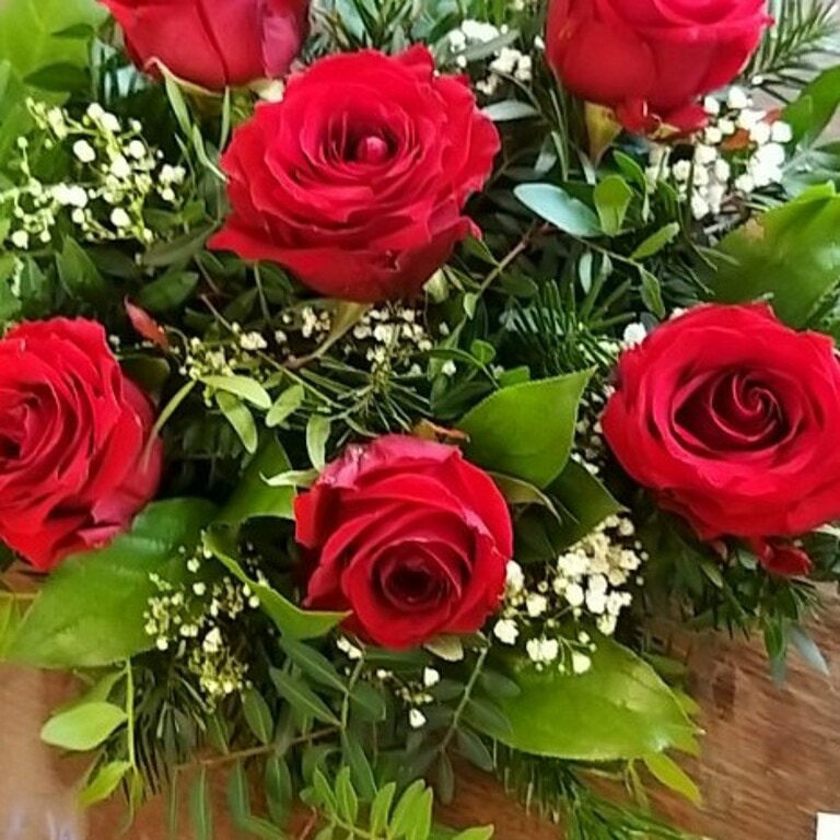 Valentines roses