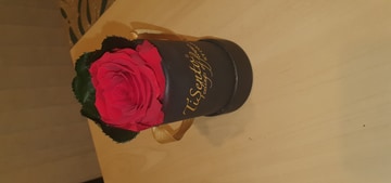 Preserved rose in contain