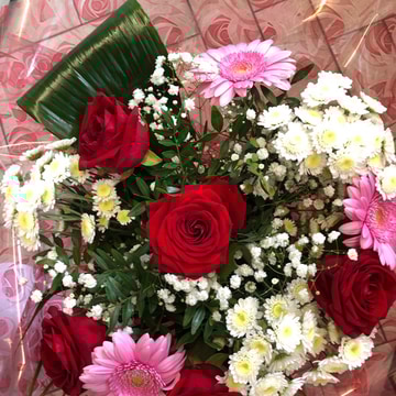 Red rose delights