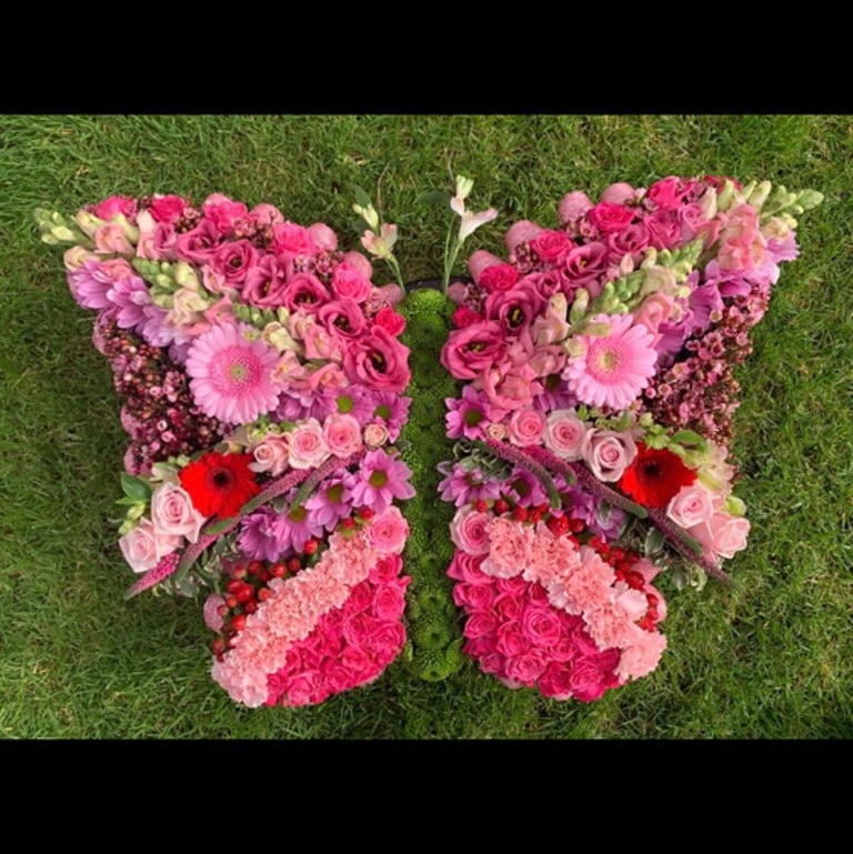 Large butterfly