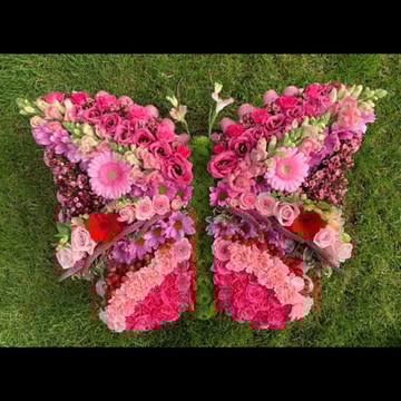 Large butterfly