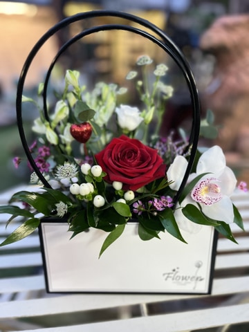 Orchid love exotic passi