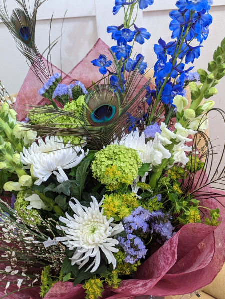 Peacock display
