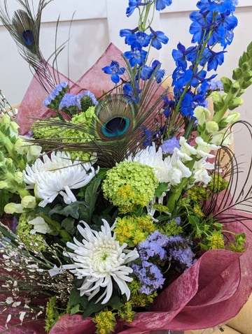 Peacock display